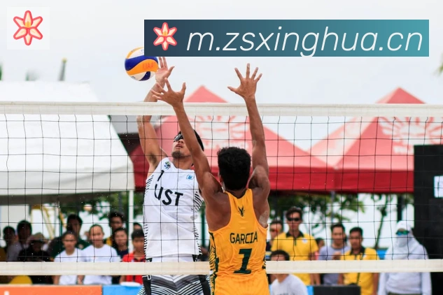 华体app登录入口平台生态图