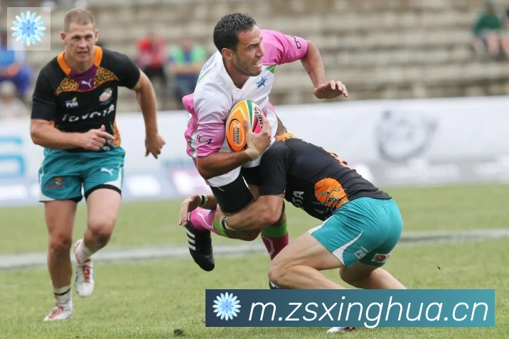 华体app登录入口荣誉